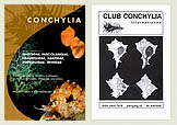 Club Conchylia Informationen