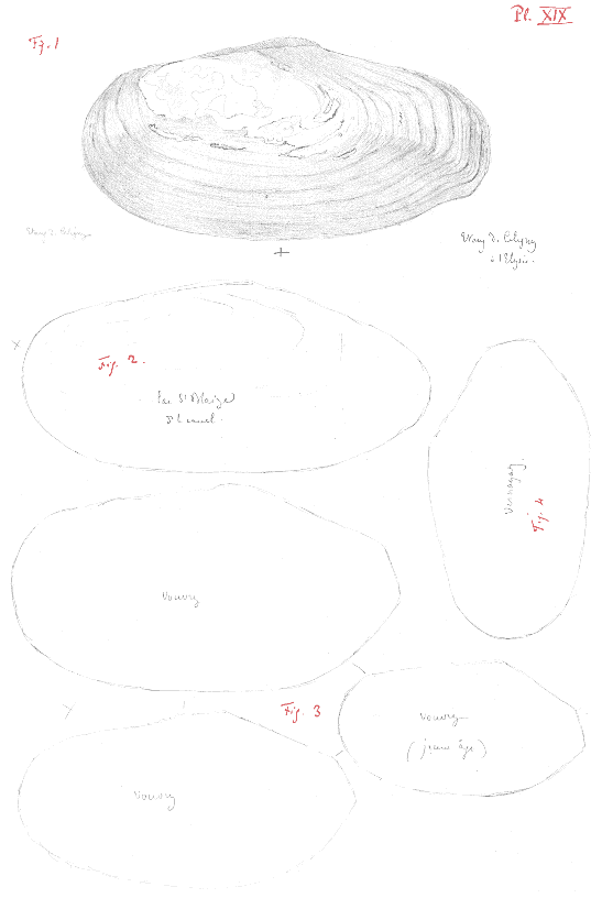 crayon drawin by A. Brot
